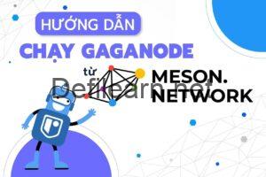 HƯỚNG DẪN CHẠY GAGANODE TỪ MESON NETWORK